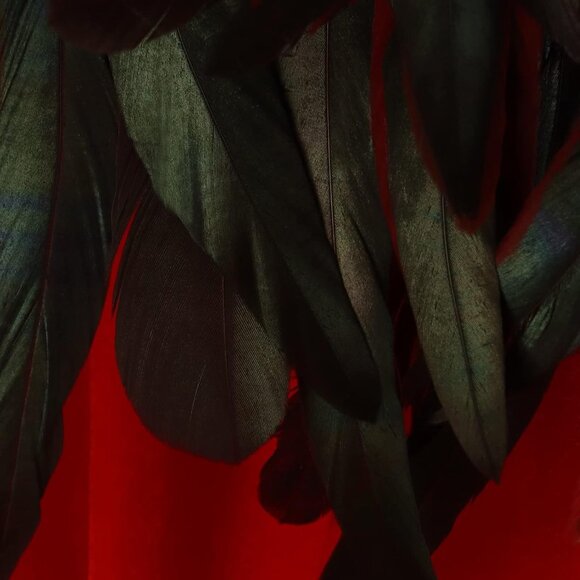 Women Classic Witch Costume and Natural Feather Cape Halloween Witchy Cloak - Picture 7 of 7